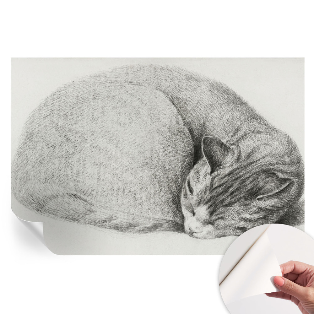 Papier peint photographique autocollant Chat enroulé