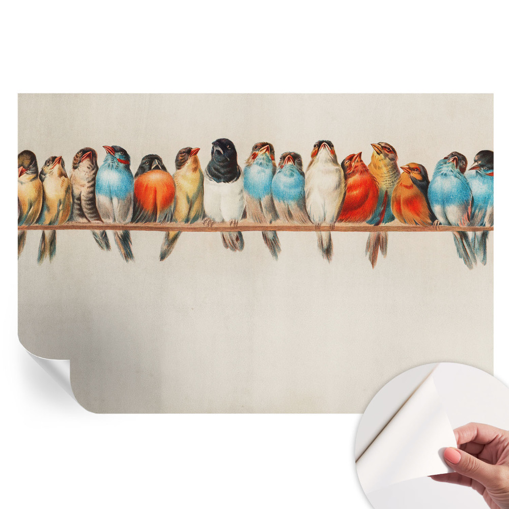 Papier peint photo autocollant pour la chambre Oiseaux sur une branche