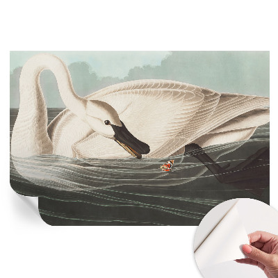 Papier peint photographique autocollant Harmonie de la nature