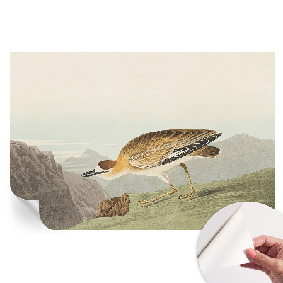 Papier peint photo moderne pour le salon oiseau de montagne