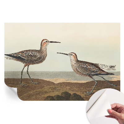 Papier peint photographique autocollant silhouettes d'oiseaux