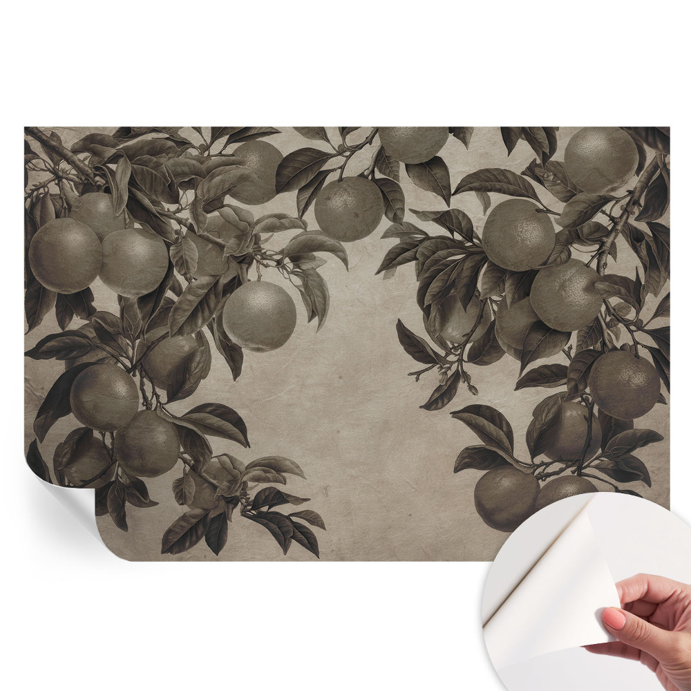 Papier peint autocollant motif fruits pour salon