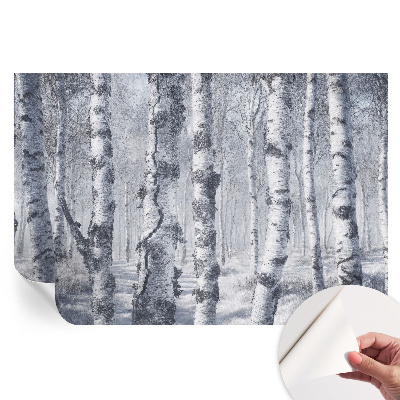 Papier peint photo autocollant Nature glaciale pour la chambre