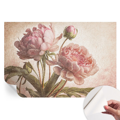 Fresque murale autocollante Pivoines délicates