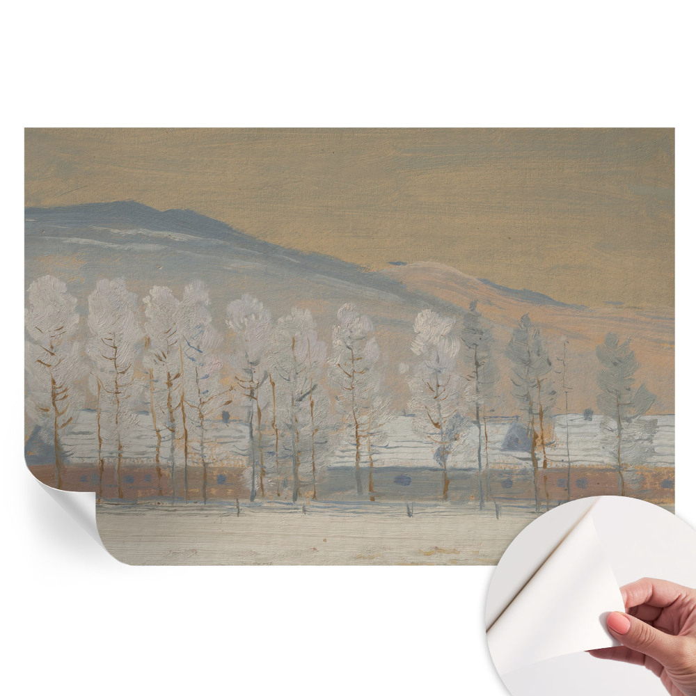 Papier peint autocollant pour le salon Paysages d'hiver