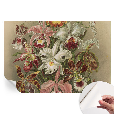 Papier peint photographique autocollant élégance florale