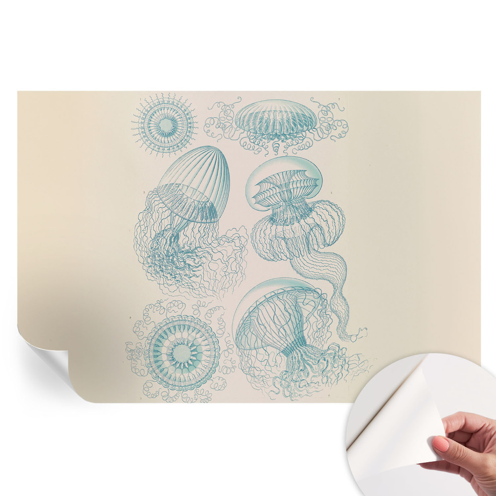 Papier peint photo autocollant pour la chambre méduses de mer