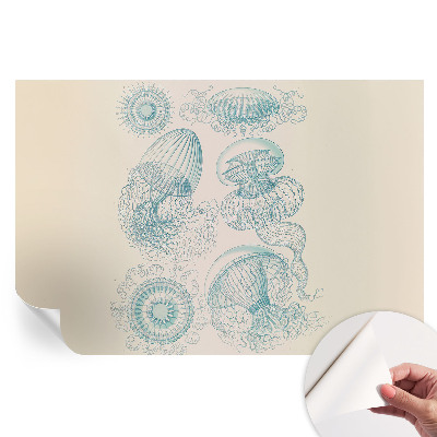 Papier peint photo autocollant pour la chambre méduses de mer