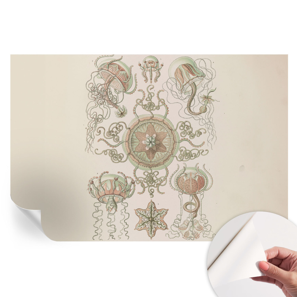 Papier peint photo moderne pour le salon monde sous-marin