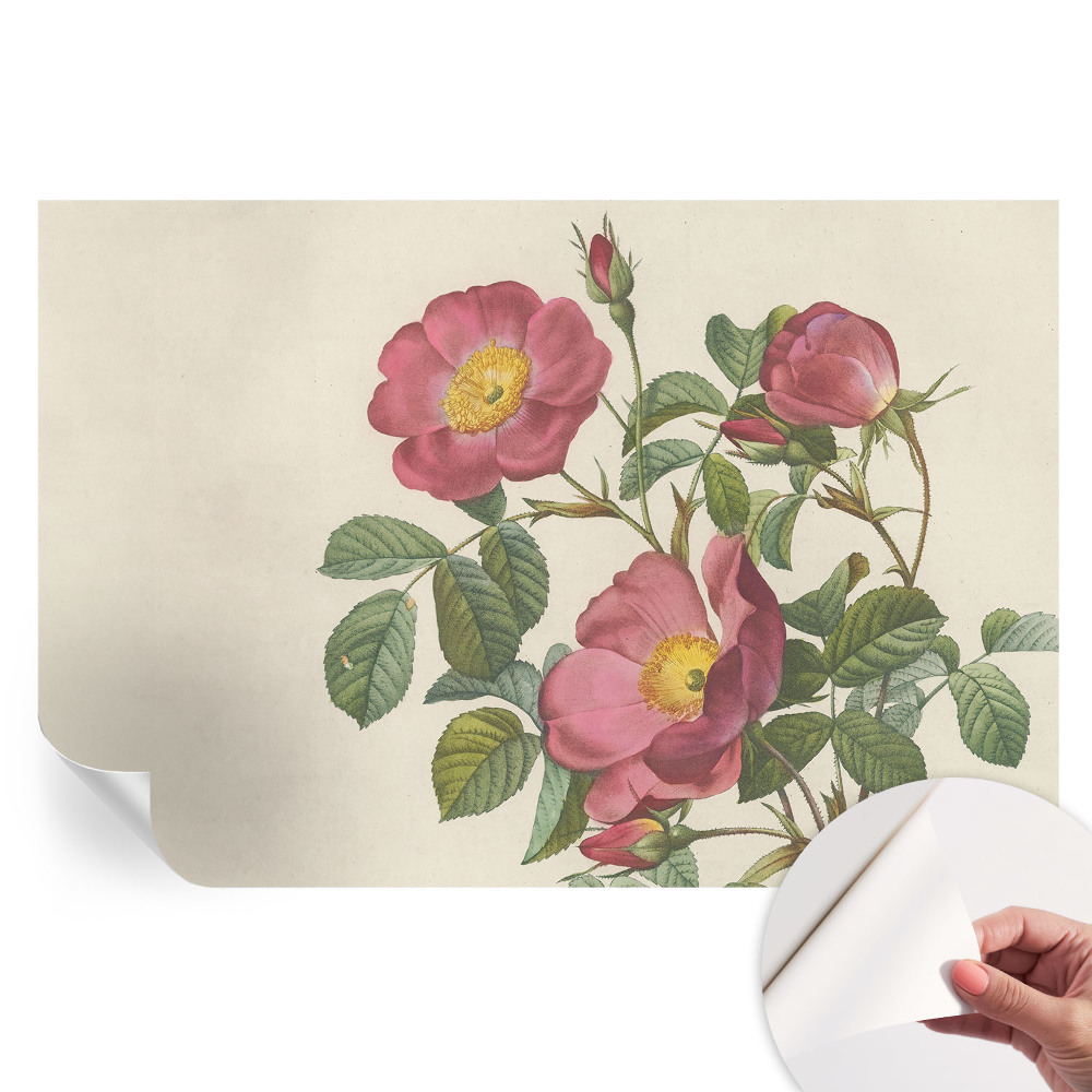 Papier peint photo autocollant pour la chambre motif de rose