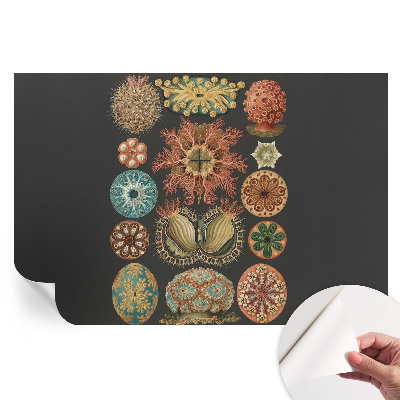 Papier peint photo moderne pour le salon Inspirations marines