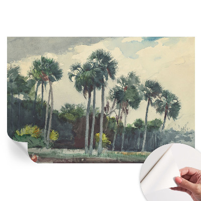 Papier peint autocollant pour le salon palmiers exotiques