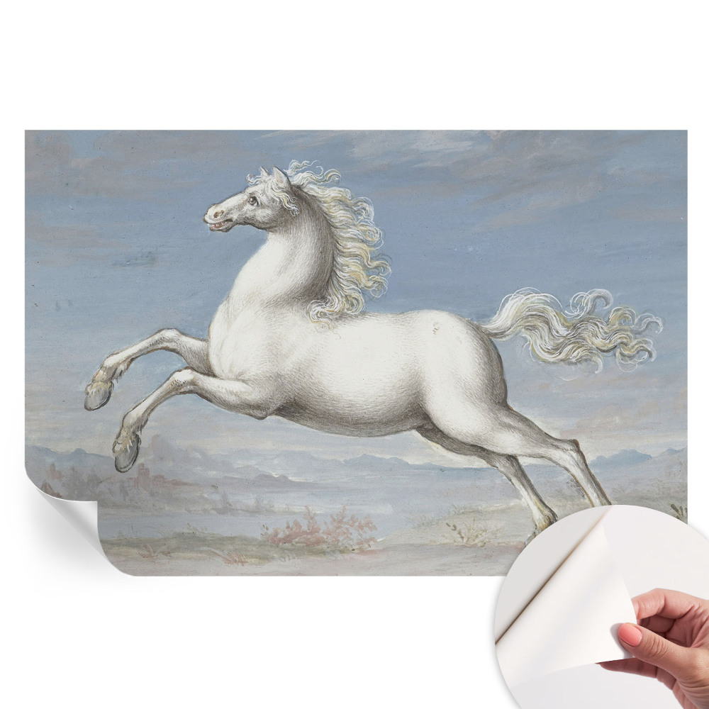 Papier peint photographique autocollant Chevaux en saut