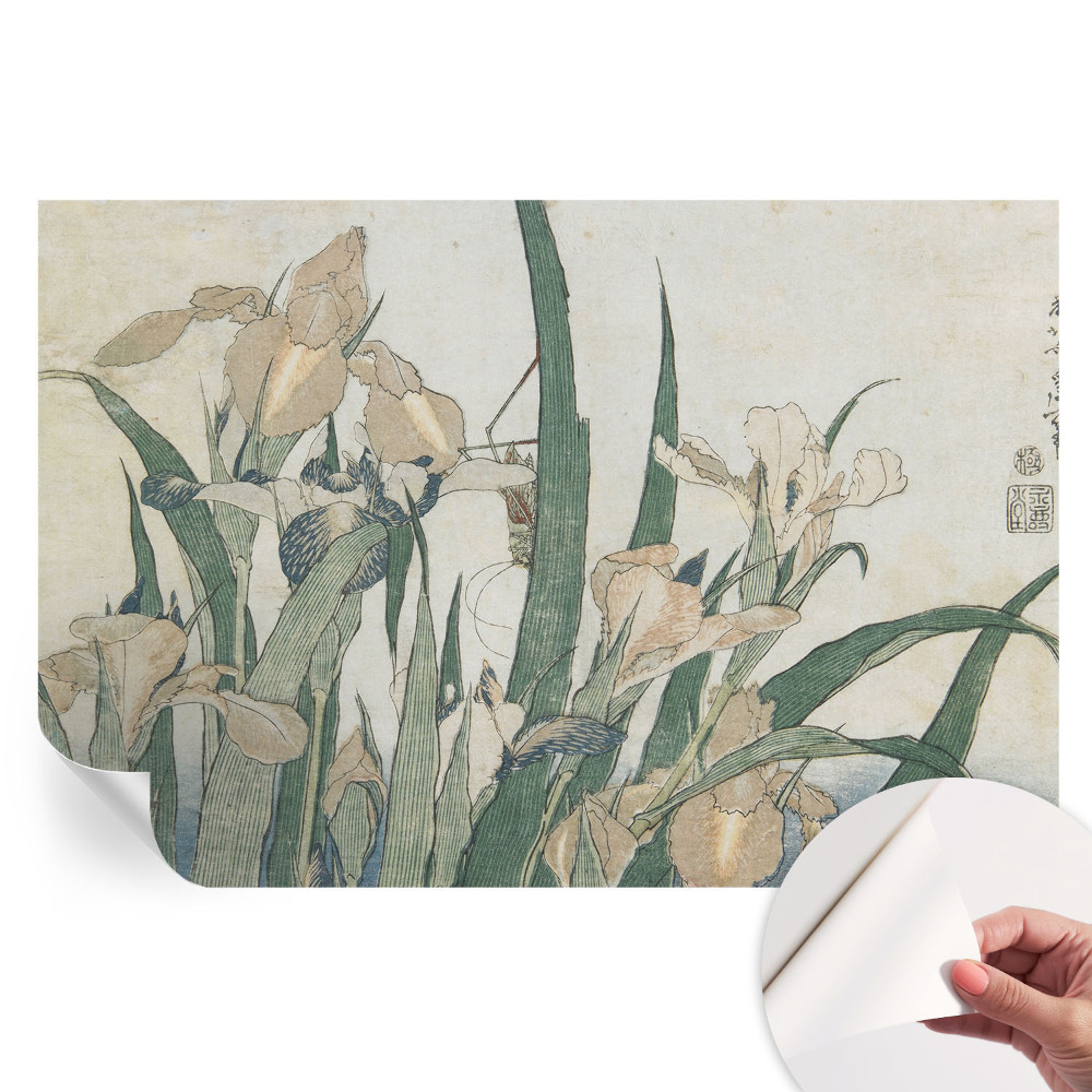 Papier peint autocollant Iris délicats pour salon