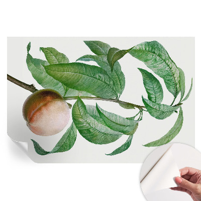 Papier peint autocollant pour le salon pêche mûre