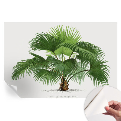 Papier peint photo moderne pour le salon palmier exotique
