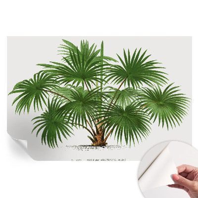 Papier peint autocollant pour le salon Motif exotique