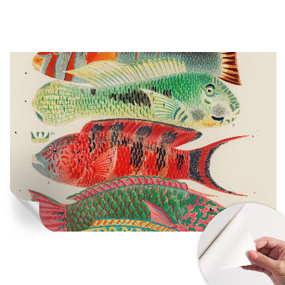 Papier peint photographique autocollant Poissons exotiques