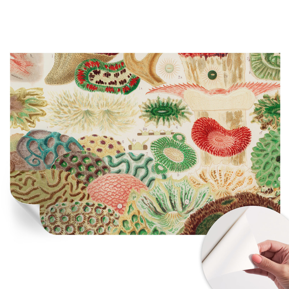 Papier peint photo autocollant formes organiques pour chambre