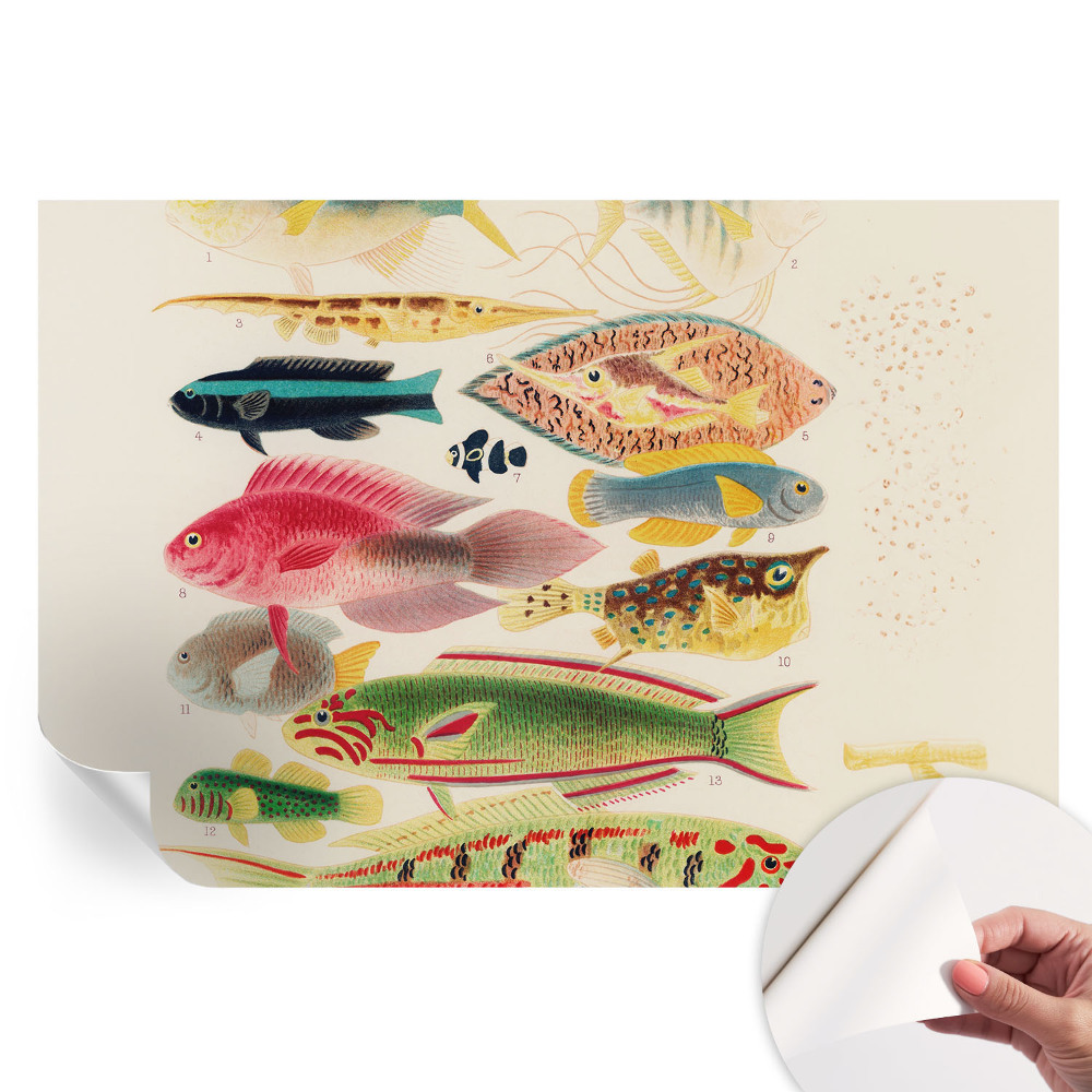 Papier peint photo moderne pour le salon Poissons colorés