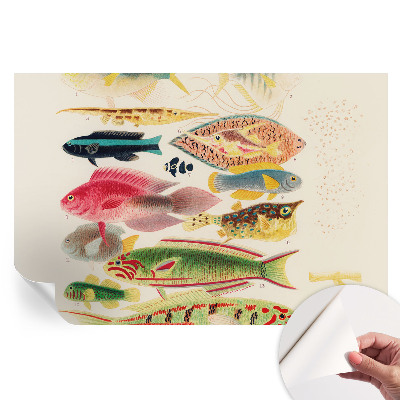 Papier peint photo moderne pour le salon Poissons colorés