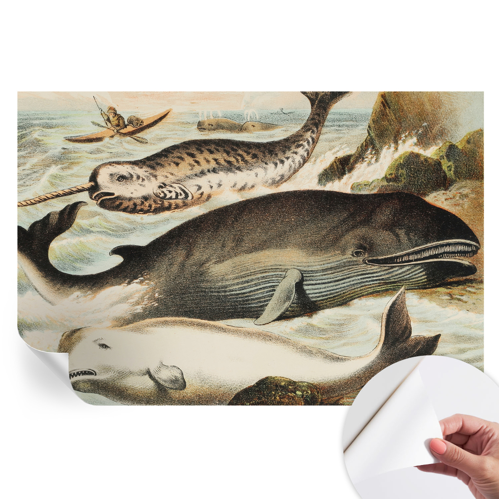 Papier peint photo autocollant pour la chambre géants des mers