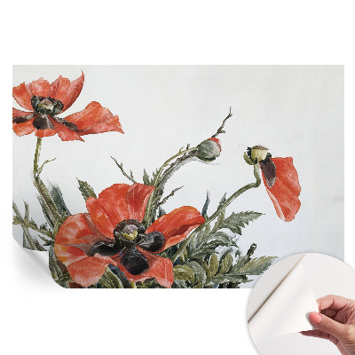 Papier peint photographique autocollant Coquelicots rouges