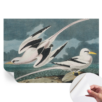 Papier peint photo autocollant pour la chambre Oiseaux au bord de la mer