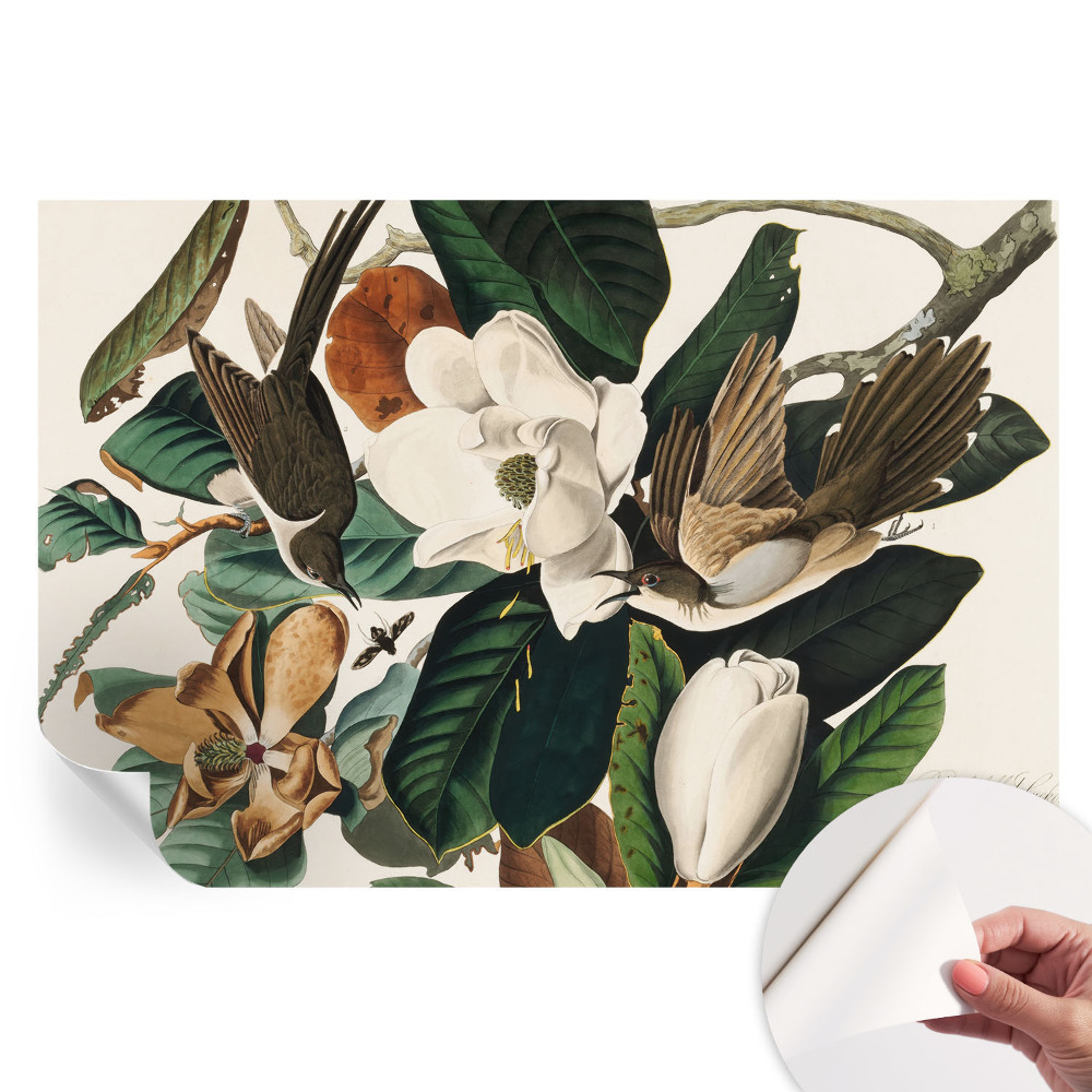 Papier peint autocollant pour le salon oiseaux magnolias