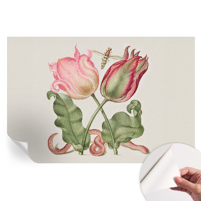 Papier peint photographique autocollant beauté des tulipes