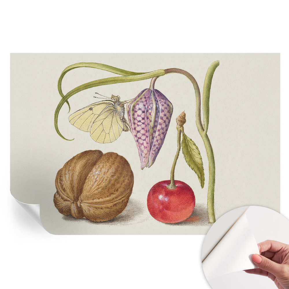 Papier peint autocollant pour le salon plante papillon