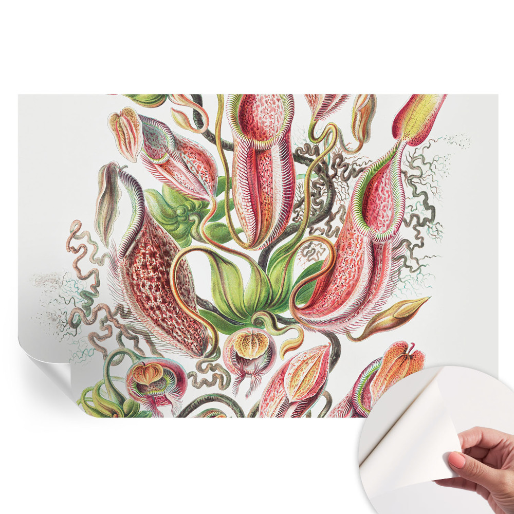 Papier peint autocollant pour le salon Détails de la plante