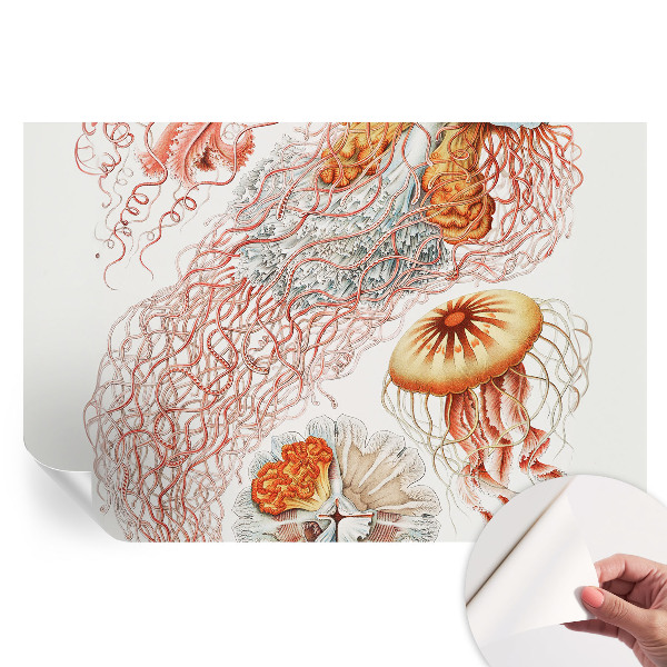 Papier peint photographique autocollant Méduses fantaisie