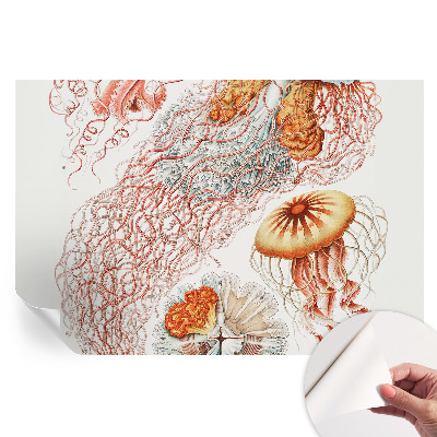 Papier peint photographique autocollant Méduses fantaisie