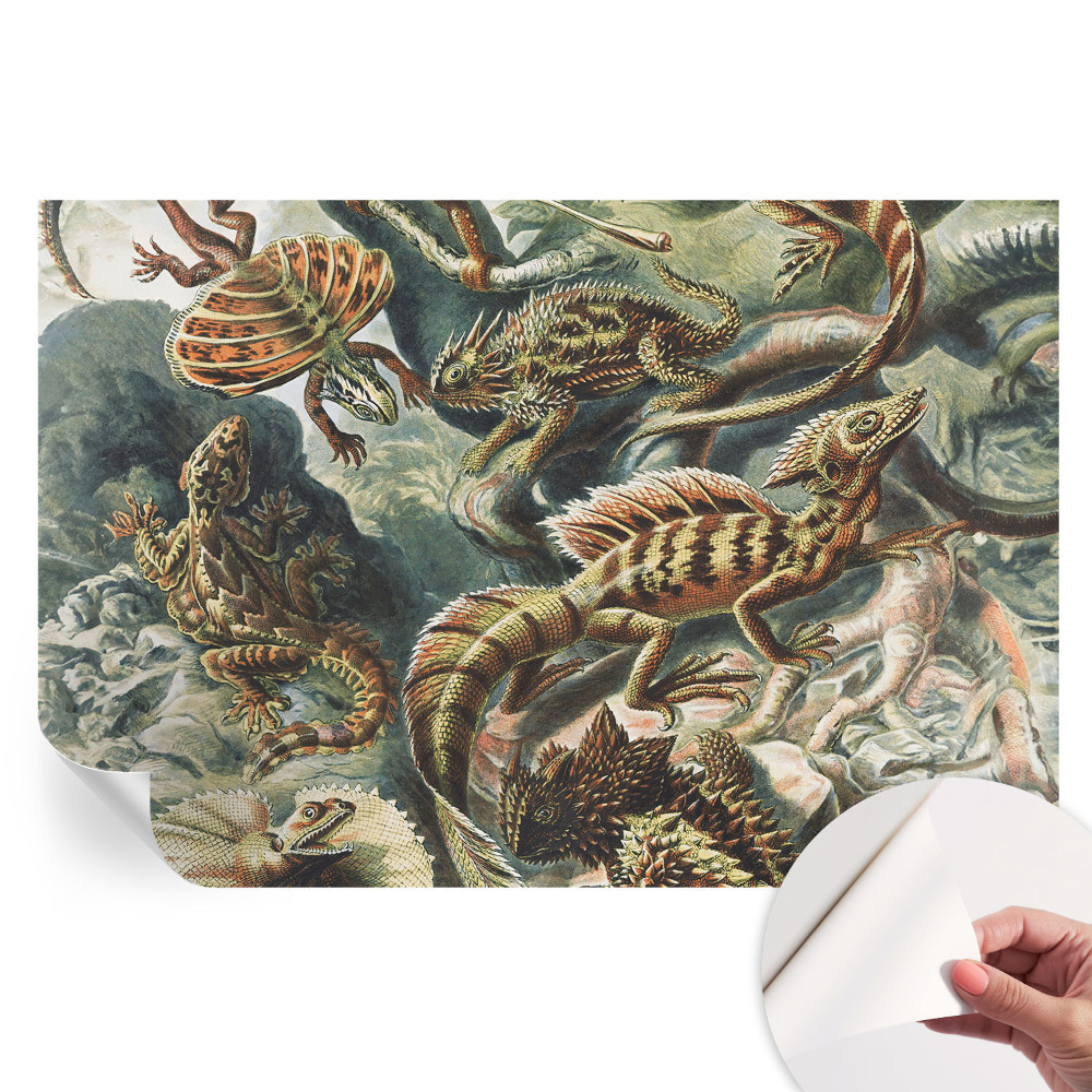 Fresque murale autocollante Reptiles exotiques