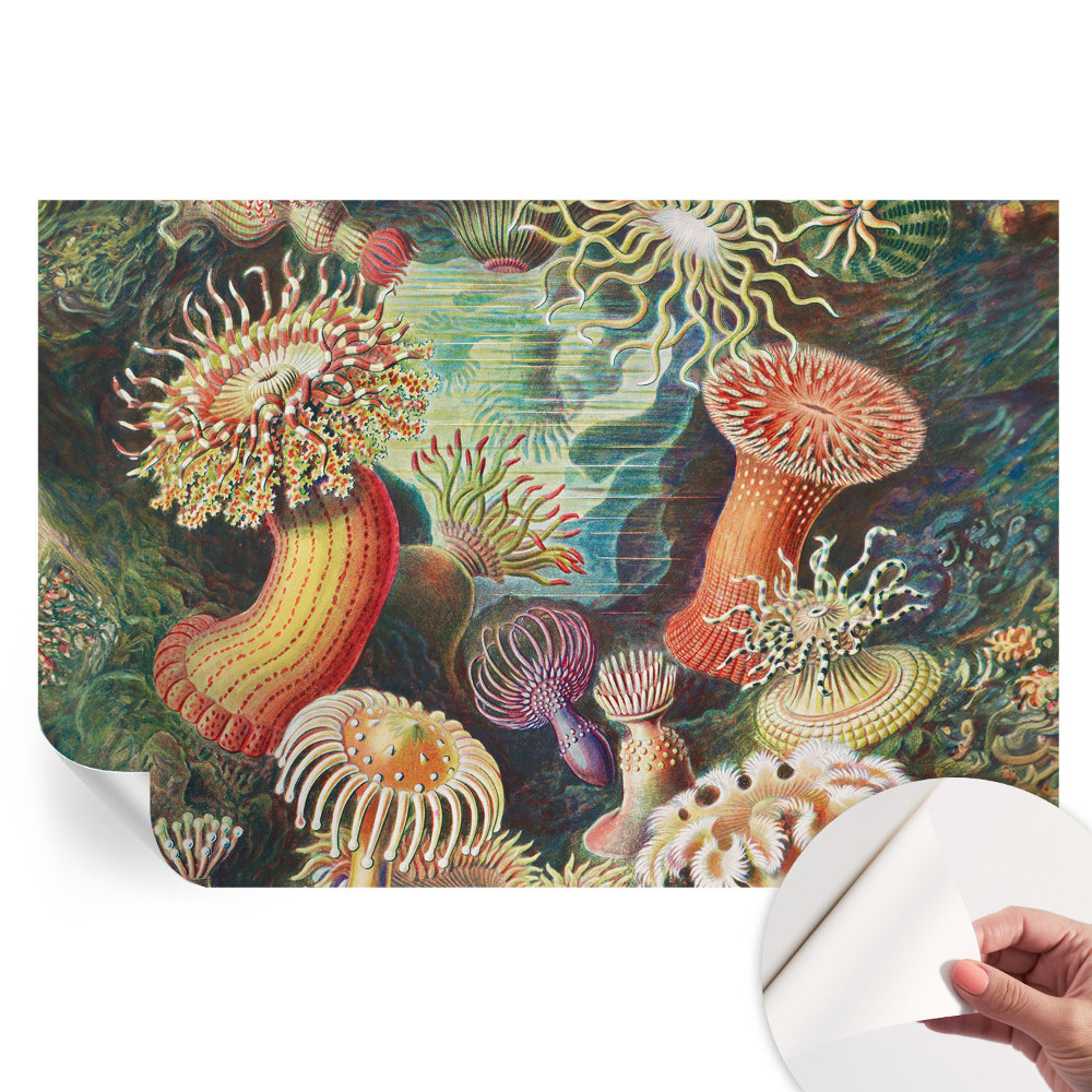 Papier peint autocollant pour le salon anémones fantaisie