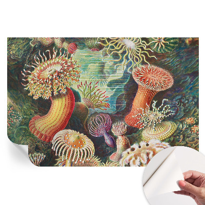 Papier peint autocollant pour le salon anémones fantaisie