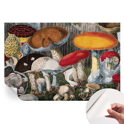 Papier peint photo moderne motif champignons botaniques pour salon