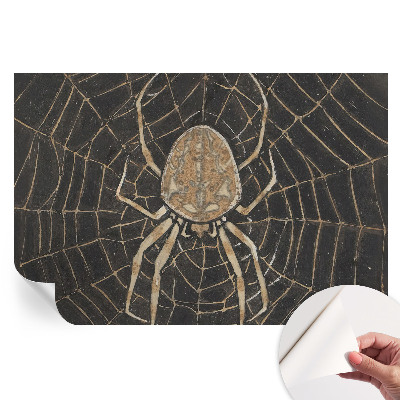 Papier peint autocollant pour le salon toile d'araignée
