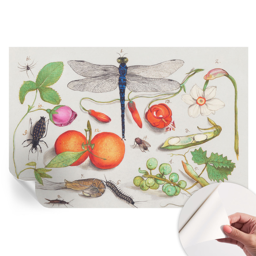 Papier peint photo autocollant pour chambre avec illustration de nature
