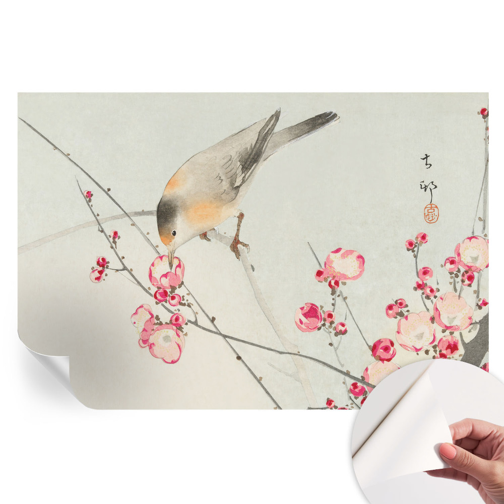 Papier peint autocollant motif oiseaux et fleurs