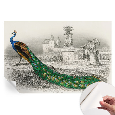 Papier peint autocollant pour le salon plumes colorées