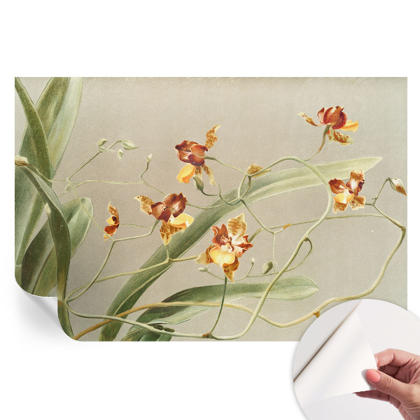 Papier peint autocollant pour le salon Orchidées classiques