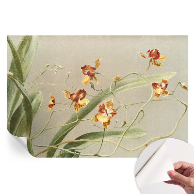 Papier peint autocollant pour le salon Orchidées classiques