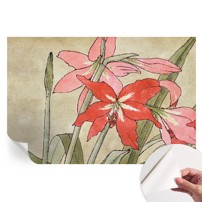 Papier peint photographique autocollant fleurs d'hémérocalle