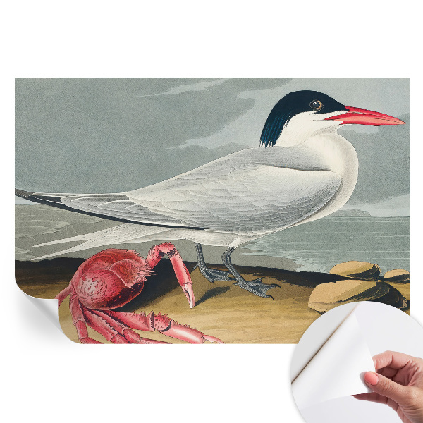 Papier peint photo moderne pour le salon Paysages marins