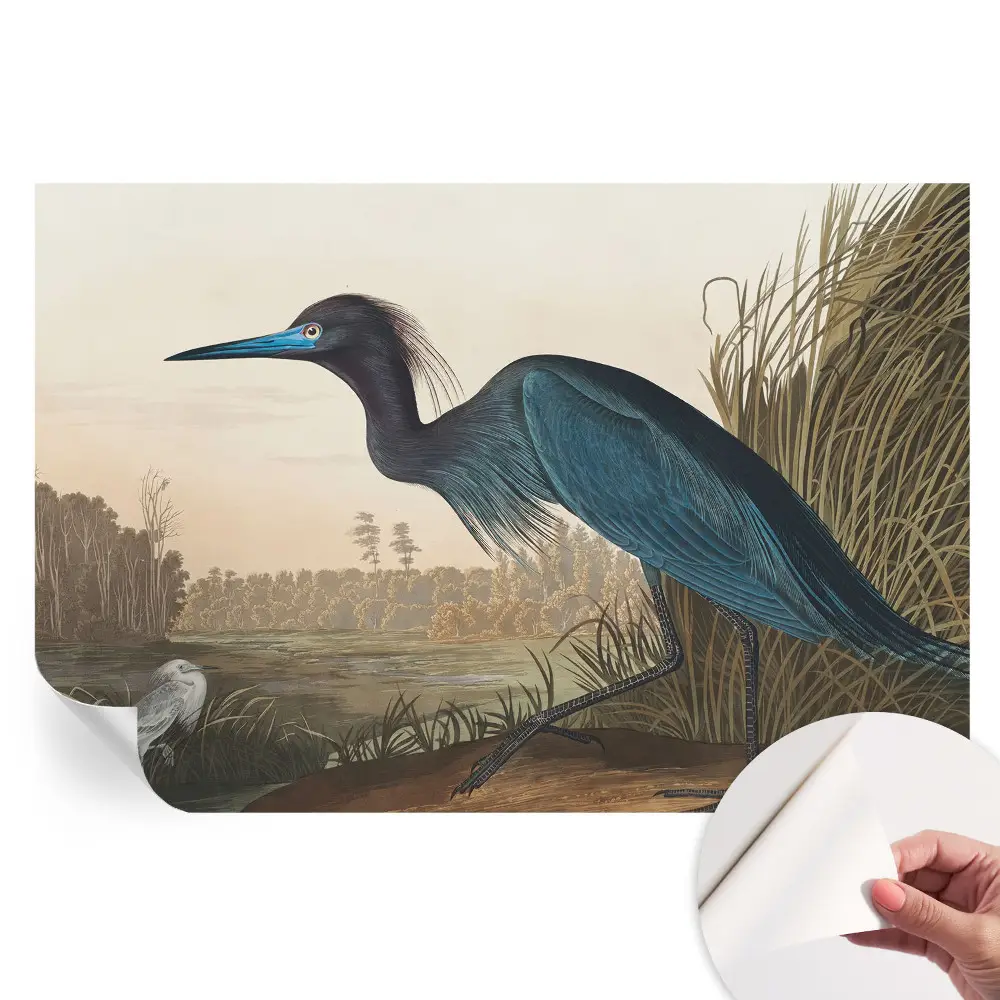 Fresque murale autocollante motif oiseaux aquatiques