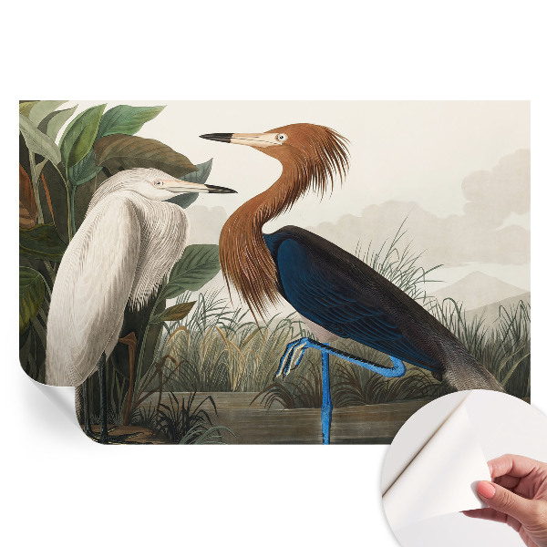 Fresque murale autocollante Les oiseaux dans les plantes