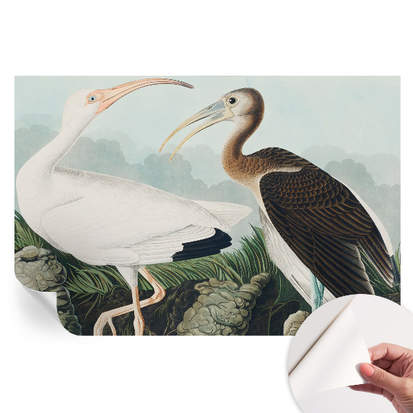 Papier peint autocollant pour le salon couple d'oiseaux