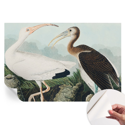 Papier peint autocollant pour le salon couple d'oiseaux